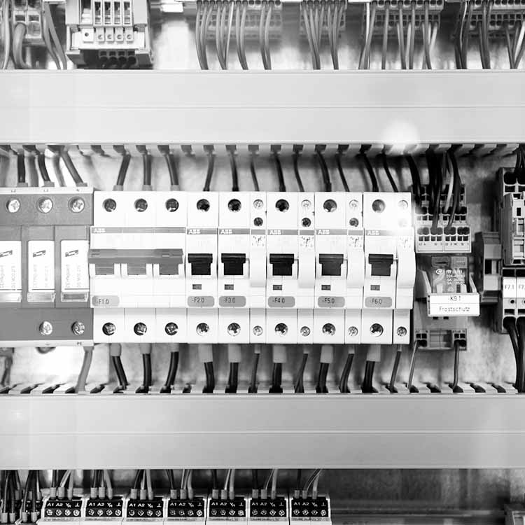 Collegamenti elettrici